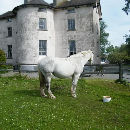 Loughkeen House Carrig
